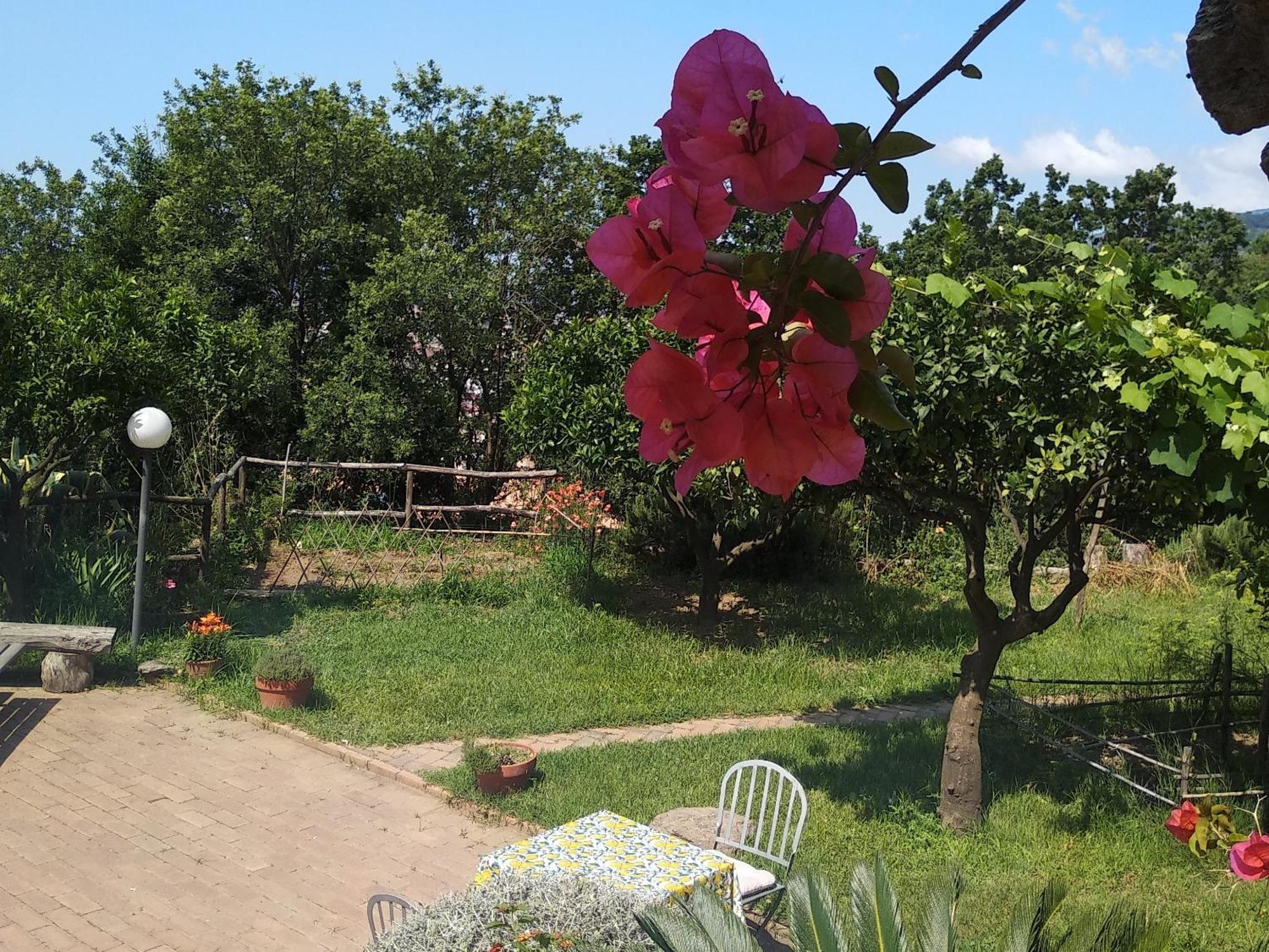 B&B Casa Gemma Lamezia Terme Kültér fotó